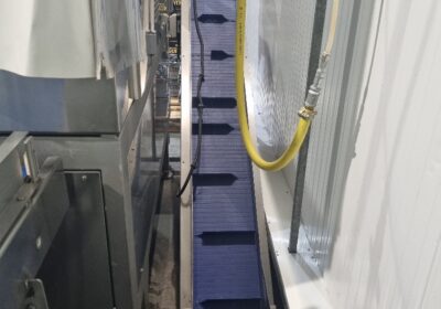 Broccoli floretting machine Silex 1 line - AIT
