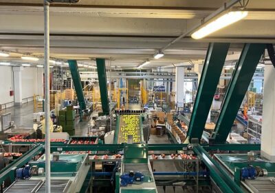 Complete automatic packing line for apple Germany